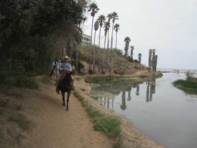  Passeggiate a cavallo 